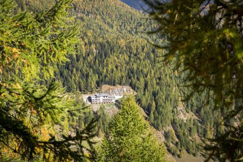 a house on a hill in the middle of a forest at Gasthof Schönau in Moso