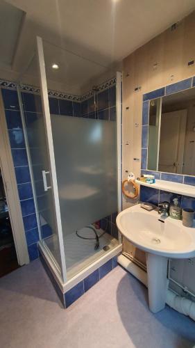a bathroom with a shower and a white sink at La maison d`hôtes de Constance in Le Mans