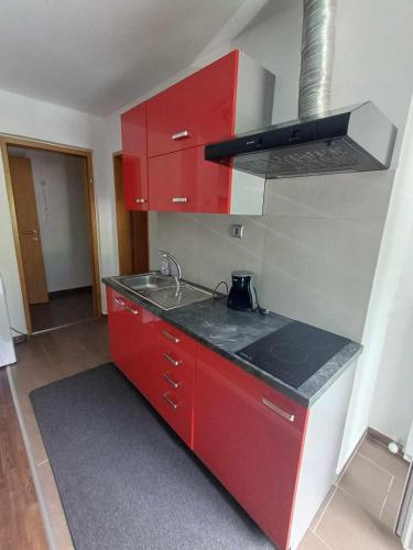 Η κουζίνα ή μικρή κουζίνα στο Apartmaji SLATENIK