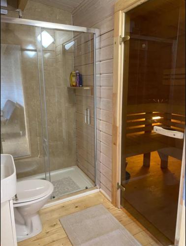 a bathroom with a glass shower and a toilet at Langdale Lodge in Inverness
