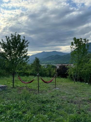 a hammock in a field with mountains in the background at Cottage space in Ambrolauri