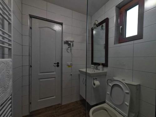 a bathroom with a toilet and a sink and a mirror at Casa Loredana in Vadu Izei
