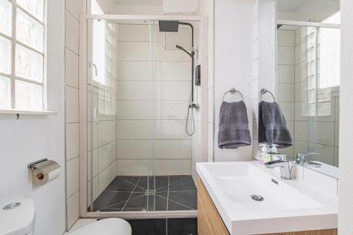 une salle de bain avec une douche, un lavabo et des toilettes dans l'établissement L'haussmannien - Spacieux 4 chambres - Centre - Gare, à Reims