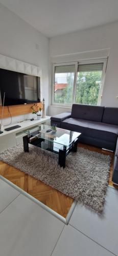 Luxury apartment Maestral - private pool