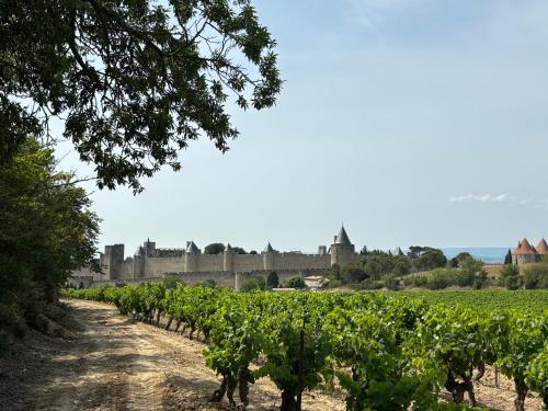 Φωτογραφία από το άλμπουμ του La Vade στην Καρκασόν