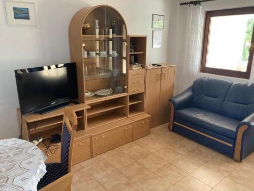 Apartment Ivanka - Mandre