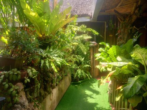 a garden with green plants and plants at Hidden Tourist Inn in Abu