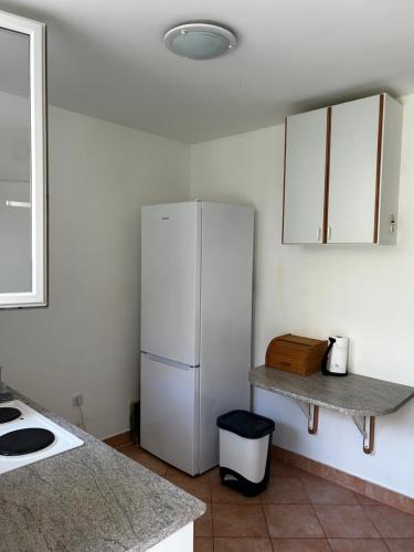 a kitchen with a white refrigerator and a counter at Apartman Vera in Selce