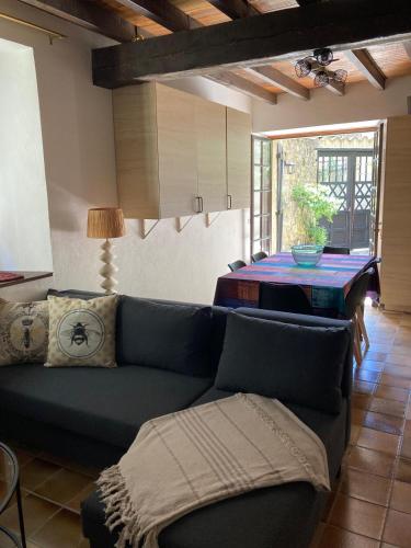un salon avec un canapé et une table dans l'établissement Maison 2 chambres avec cour intérieure, à Alet-les-Bains