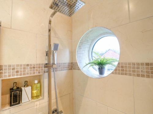 a bathroom with a shower with a potted plant in a window at The Loft at Amber View in Belper