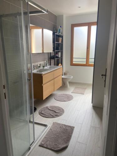 une salle de bain avec une douche, un lavabo et des toilettes dans l'établissement Maison à 10 min à pieds du RER Bourg la reine, à Bourg-la-Reine