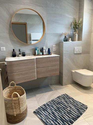 une salle de bain avec un lavabo et un miroir et des toilettes dans l'établissement Villa de l'Elbe proche Europapark en Alsace, à Marckolsheim