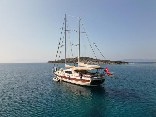 un bateau dans l'eau avec une île en arrière-plan dans l'établissement Lüks gulette tekne tatili, à Bodrum City
