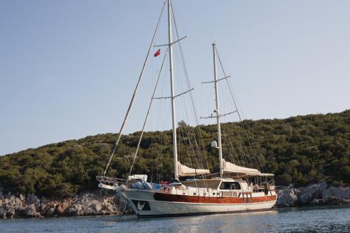 un bateau est assis dans l'eau dans l'établissement Lüks gulette tekne tatili, à Bodrum City
