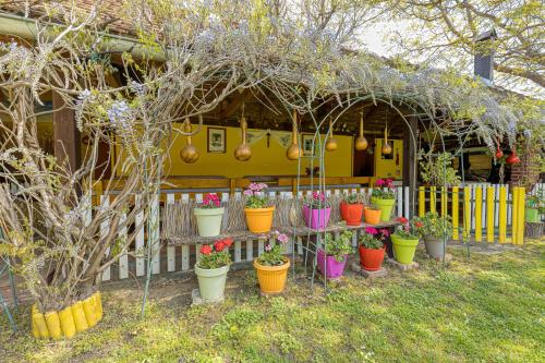 Vonkajšia záhrada v ubytovaní Rural Homestead Trenkovo - Happy Rentals