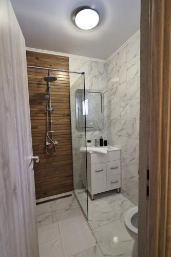 a bathroom with a shower and a sink at Georgescu House in Făgăraş