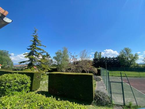 a tennis court with a fence and a tree at Domaine Le Pigeonnier in Loriol-sur-Drôme