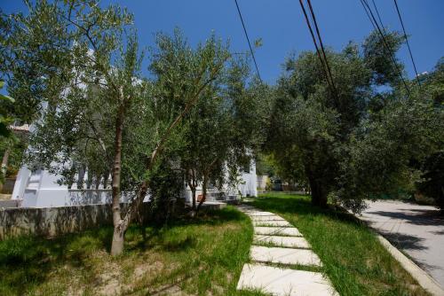 a sidewalk with trees on the side of a street at Olivium Rooms in Vlorë