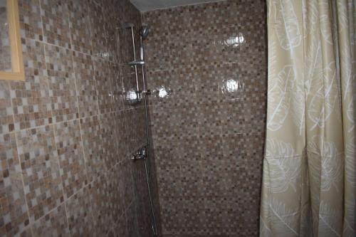 a shower with a glass door in a bathroom at Casa La Bunica in Orşova