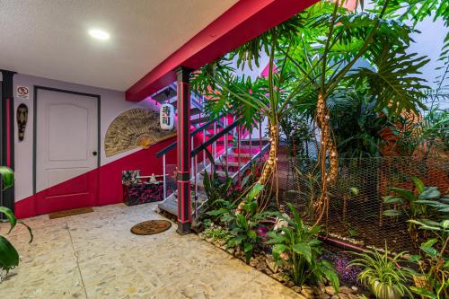 a room with a staircase in a house with palm trees at Posada Bugambilia in Mexico City
