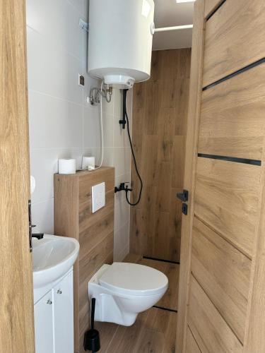 a bathroom with a toilet and a sink at Domki Pasieka Domek C in Przeczyce