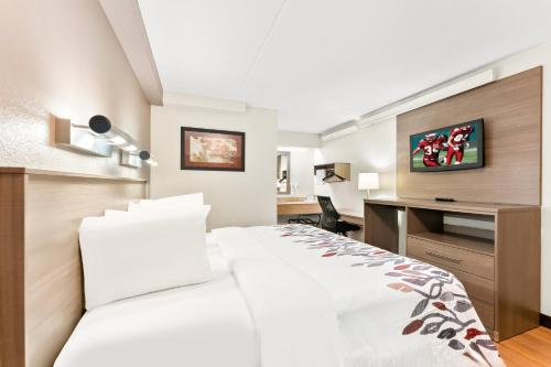 a hotel room with a bed and a desk at Red Roof Inn Allentown Airport in Allentown