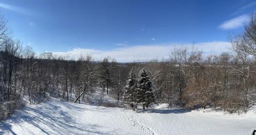 a christmas tree in the middle of a snow covered field at Secluded 4 bedroom with hot tub minutes from campus in State College