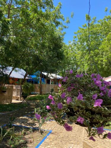 a garden with purple flowers and a fence at Finca Ecoturistica LOS JAGUEYES in Baraya