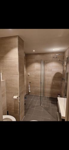 a bathroom with a shower and a toilet and a sink at Nydelig leilighet til leie in Halden