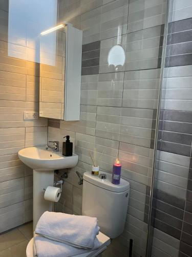 a bathroom with a toilet and a sink and a shower at Silver House 96 ideal parejas in Arrecife