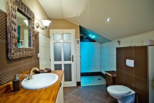 uma casa de banho com um lavatório, um WC e um espelho. em Villa Marijana em Zmijavci