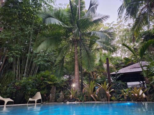 a palm tree in front of a swimming pool at Alaya Ascend in Eudlo