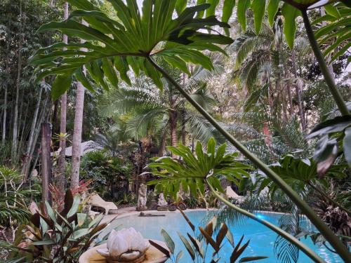 a pool in the middle of a jungle with palm trees at Alaya Ascend in Eudlo