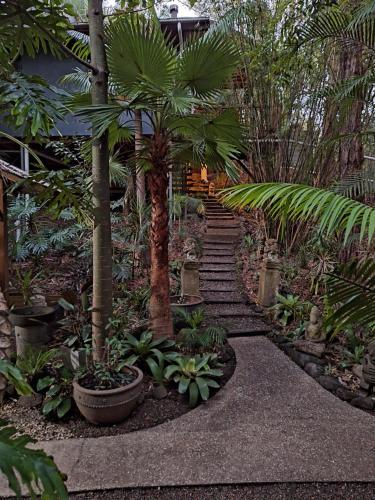 a garden with a pathway with palm trees and plants at Alaya Ascend in Eudlo