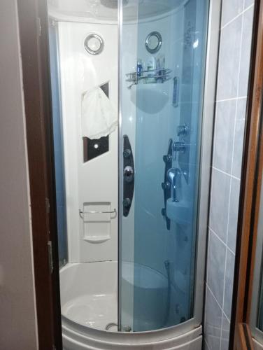 a shower with a glass door in a bathroom at Garsoniera Adriana in Băile Herculane