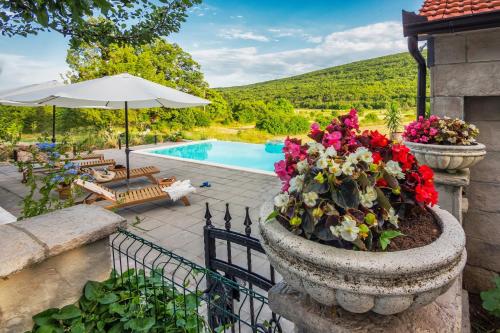 een stenen vaas gevuld met bloemen naast een zwembad bij Villa 'Stone Garden' - Private Heated Pool & Outdoor Cinema in Trilj
