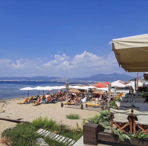Elaia Luxury Home