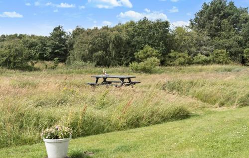a picnic table in the middle of a field at Holiday Home Kragevej in Hirtshals