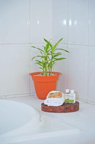 Gallery image of Hotel Boutique Rosse in San Pedro Sula