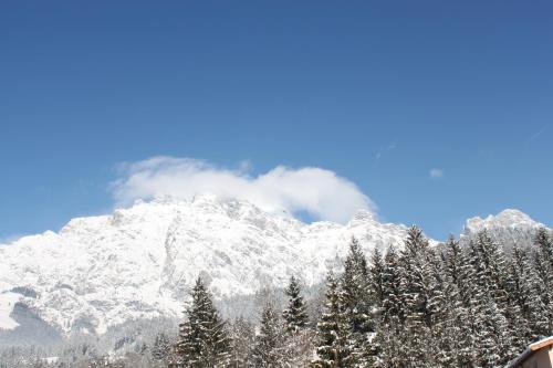 a mountain covered in snow with trees in the foreground at Energiepension Schwaiger in Leogang