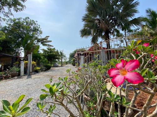 a pink flower in front of a house at บ้านไออรุณในฝัน ที่พักเมืองเลย วิวเขา in Ban Na Sai