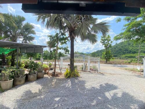 a palm tree sitting next to a white fence at บ้านไออรุณในฝัน ที่พักเมืองเลย วิวเขา in Ban Na Sai