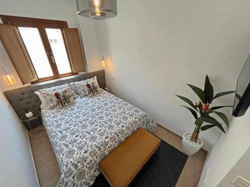 a small bedroom with a bed and a potted plant at XXIII Apartamentos Morales&Arnal in Estepona