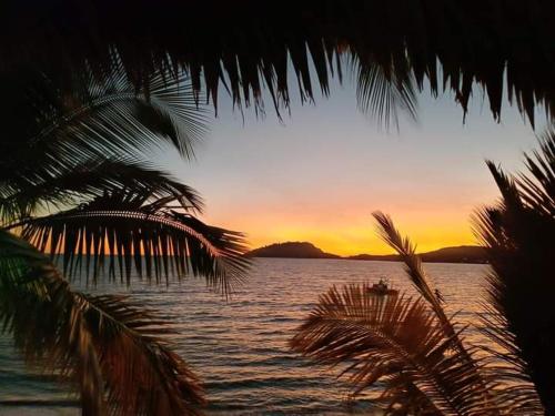 a sunset over the water with a palm tree at Ô Bleu Azur in Antsatrakolo