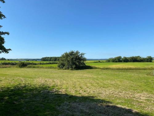 a field with a tree in the middle of it at Light-filled Retreat in Boddum - By Traum Ferienwohnungen in Boddum