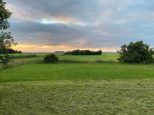a field of grass with trees in the distance at Light-filled Retreat in Boddum - By Traum Ferienwohnungen in Boddum