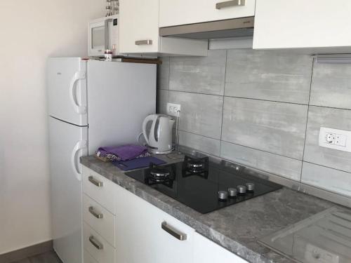 a kitchen with a white refrigerator and a counter top at Captain Branko in Orebić