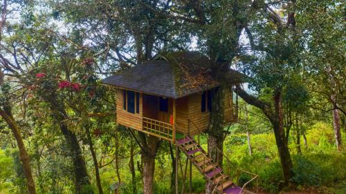 a tree house in the middle of a forest at Nature Zone Jungle Resort in Munnar