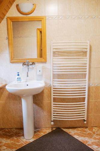 a bathroom with a sink and a mirror at Wellness Penzion u Michala in Zuberec