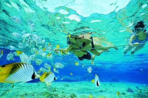 two people are swimming in the water with fish at Little Eden St Lucia in St Lucia